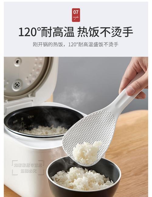 电饭煲塑料味问题解决方法（消除电饭煲塑料味的实用技巧）