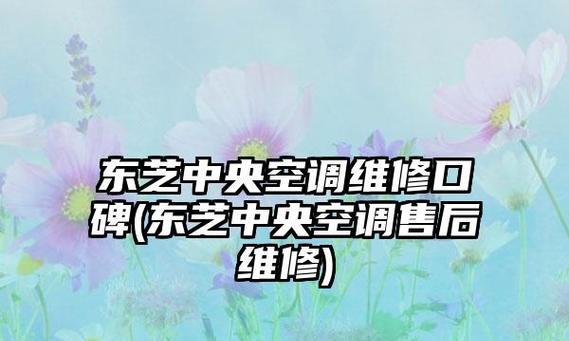东芝中央空调维修价格解析（了解维修费用）