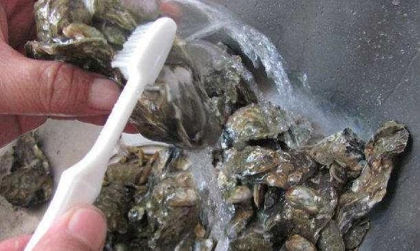 如何清洗油烟机上的牡蛎（简单有效的清洁方法及注意事项）
