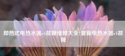 夏普热水器E2故障解析及预约上门维修方法（了解夏普热水器E2故障原因）