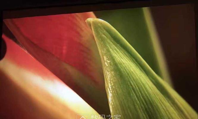投影仪老化故障及其解决方法（投影仪常见老化故障和有效维修技巧）