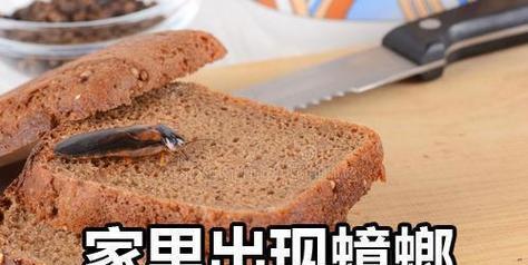 燃气灶神秘的蟑螂喜好（厨房蟑螂的习性与燃气灶的关系）