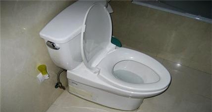 抽水马桶底部漏水的修理方法（解决抽水马桶底部漏水问题的有效措施）