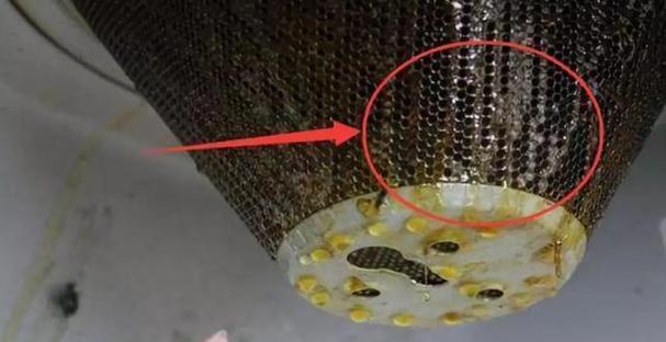 如何清洗秦皇岛抽油烟机（简便有效的清洗方法）