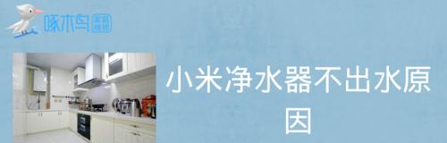 解决家用净水器水管不通问题的方法（家用净水器水管堵塞的原因和应对措施）