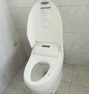 摩普马桶冲水阀更换指南（解决常见故障）