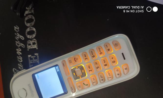 西门子显示器进水了怎么办（解决西门子显示器进水问题的有效方法）