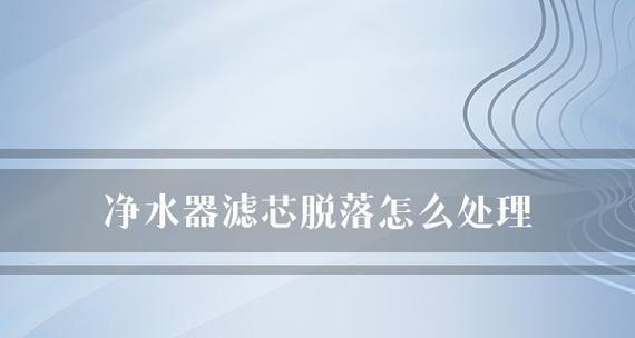 解决净水器滤芯无法加水的问题（可能的原因及解决方法）