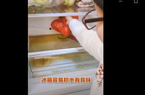 肉放冰箱有异味怎么办？（解决食品储存过程中出现异味的实用方法）