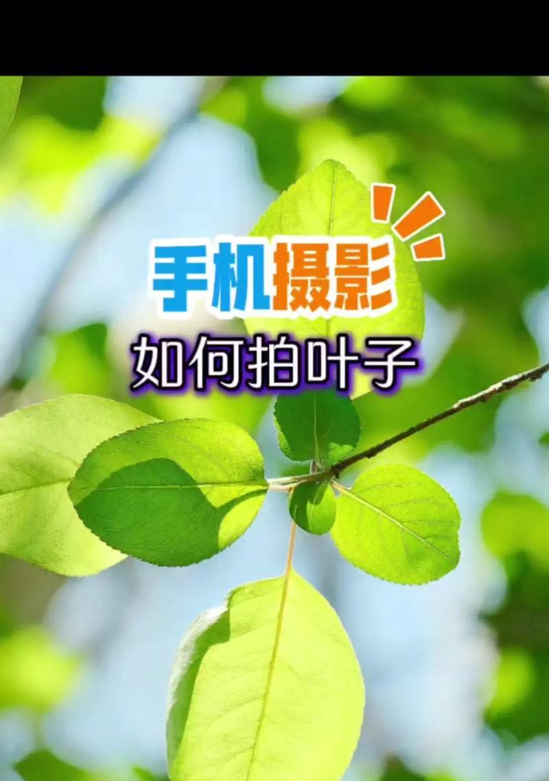 手机如何倒置拍摄照片？