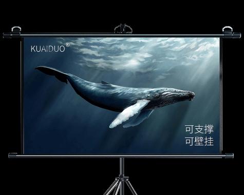 投影仪幕布拉簧的正确安装方法是什么？