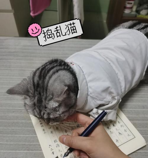 为何来我家时不宜使用手机拍照？