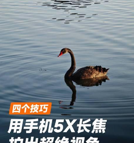 小米手机自拍模糊怎么解决？有哪些技巧？
