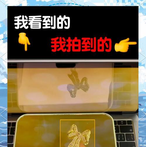 如何使用手机拍出好看的照片？有哪些拍照技巧？