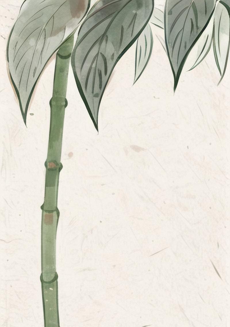 手机在竹林中如何拍照更美？有哪些技巧？