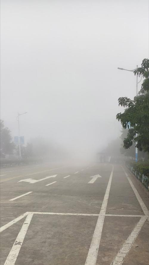 大雾天气下手机如何拍摄清晰照片？
