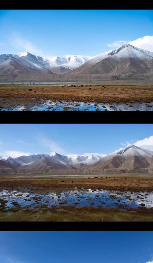 中框取景相机怎么用手机拍照？手机拍照技巧有哪些？