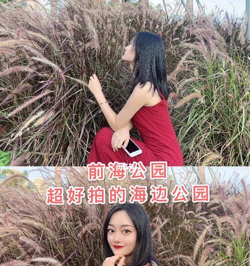 在宾馆拿苹果手机拍照怎么处理？如何拍出好照片？