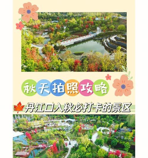 打卡软件在景区如何使用手机拍照？操作指南是什么？