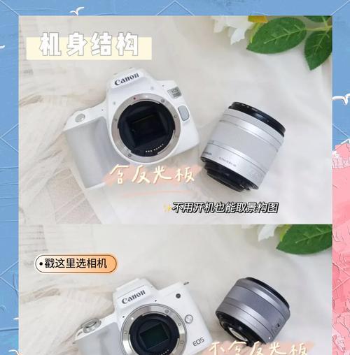 旅行用单反相机怎么选择？便携性和性能如何平衡？