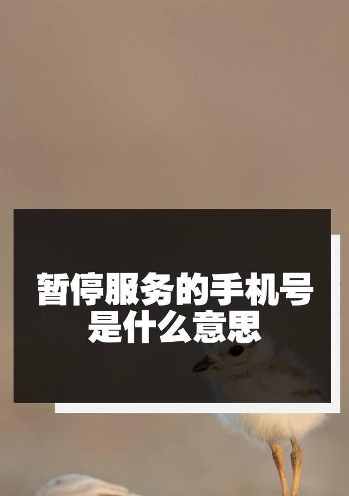服务器服务状态如何停止？