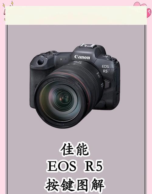 佳能单反相机特定模式设置方法是什么？如何调整？