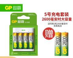理电大容量充电器电压是多少？