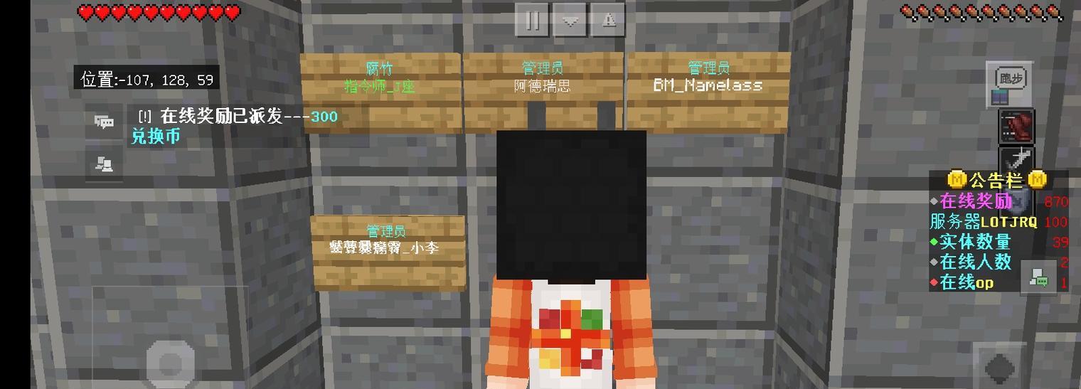 纯净生存发电服务器使用方法是什么？