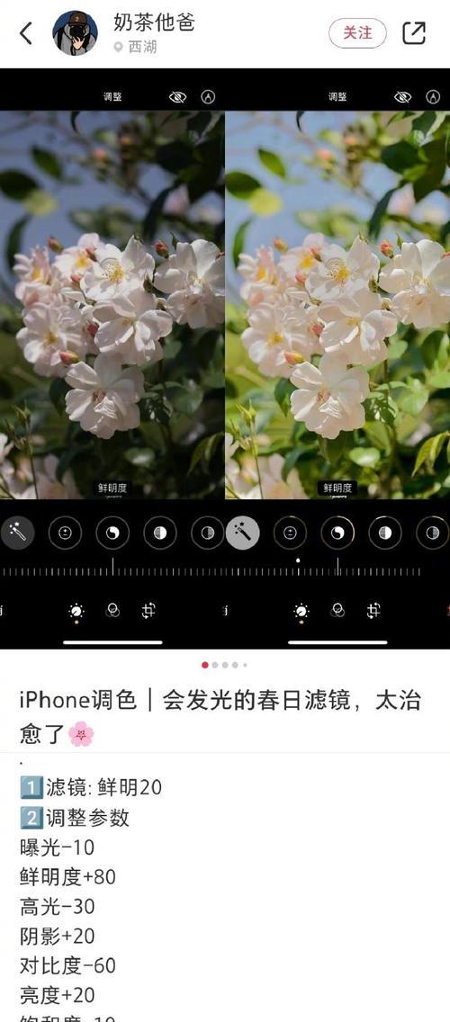 苹果手机调色粉调整的技巧有哪些？