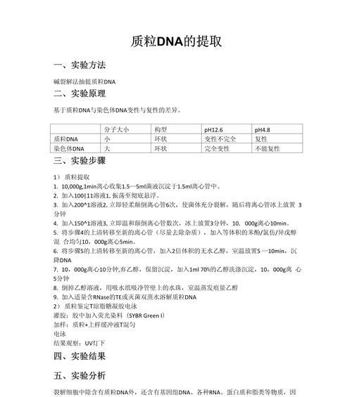 苹果手机DNA版具体含义是什么？