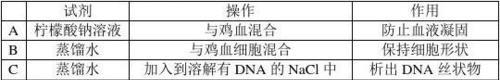 苹果手机DNA版具体含义是什么？