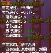 模拟器权限怎么打开？有哪些步骤和注意事项？