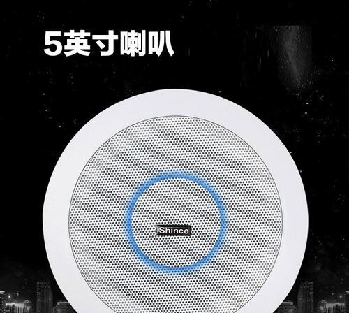 英斯派低配音响音质评价如何？适合日常使用吗？