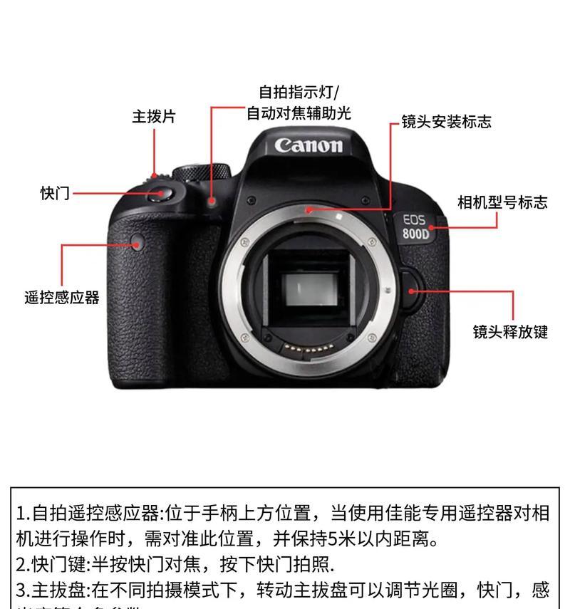 佳能相机的照相屏幕如何设置？设置过程中有哪些技巧？