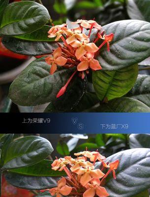 荣耀x9手机设置方法有哪些？