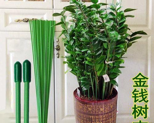 树上平板支架的正确使用方法是什么？有哪些注意事项？