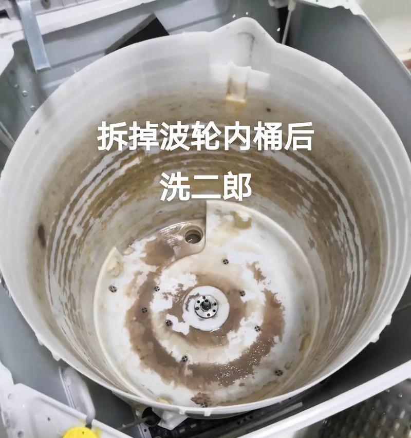 用洗衣机洗的章鱼是什么？这种做法对吗？