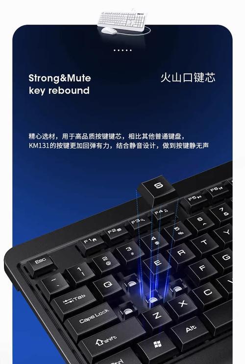 电脑如何连接有线键盘？连接有线键盘的步骤是什么？
