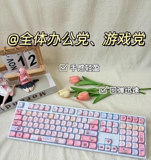 询问他人打字推荐使用哪种键盘？