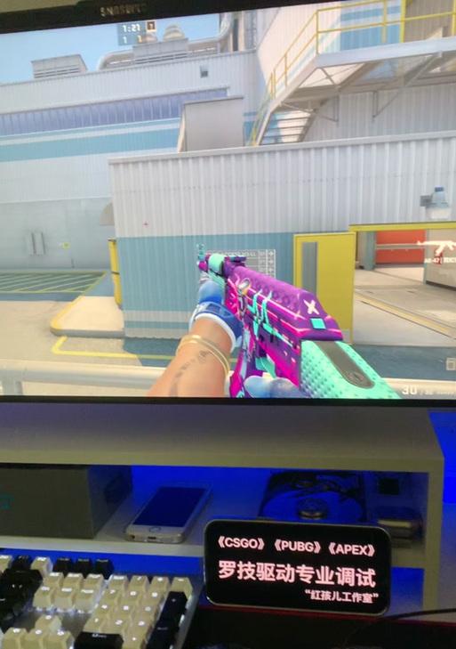 迈从鼠标在CSGO中的设置方法是什么？