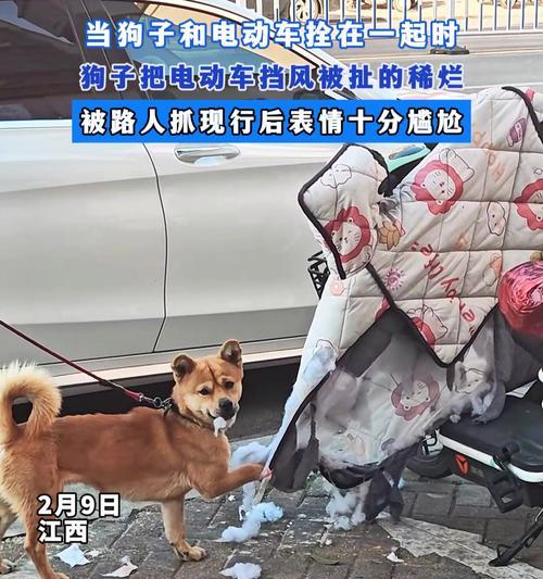 小狗电瓶车售后服务如何？遇到问题如何处理？