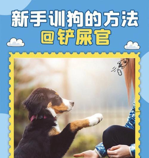 训狗坐电瓶车的正确方法是什么？