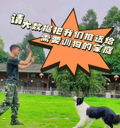 训狗坐电瓶车的正确方法是什么？