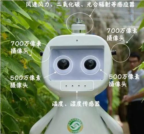 人工智能农业机器人的独特特点是什么？