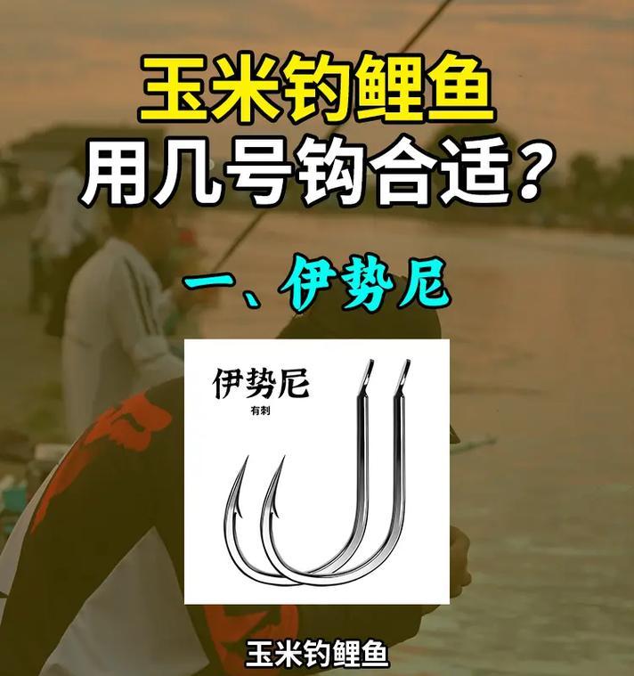 电视机钓鱼甩钩的安装步骤是什么？
